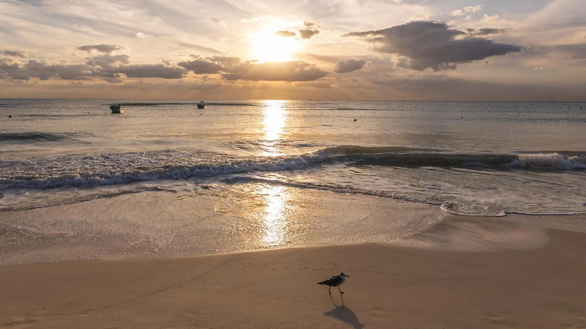 Areia Playa Del Carmen - Beach Front Hotel 0*,